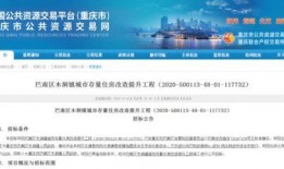 重庆巴南最新爆料,揭秘神秘事件背后的真相